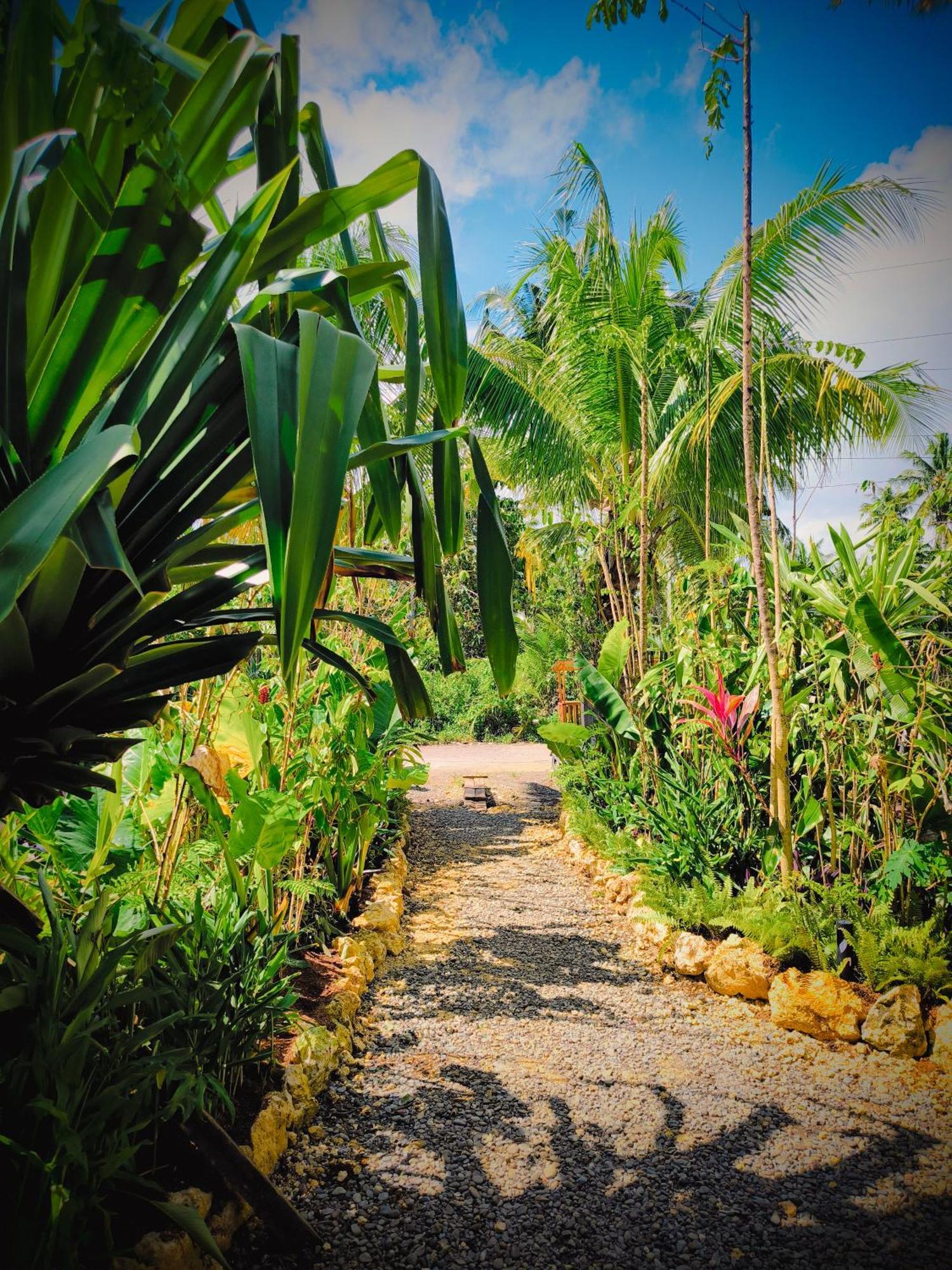 The Ohm Siargao Resort General Luna  Eksteriør billede