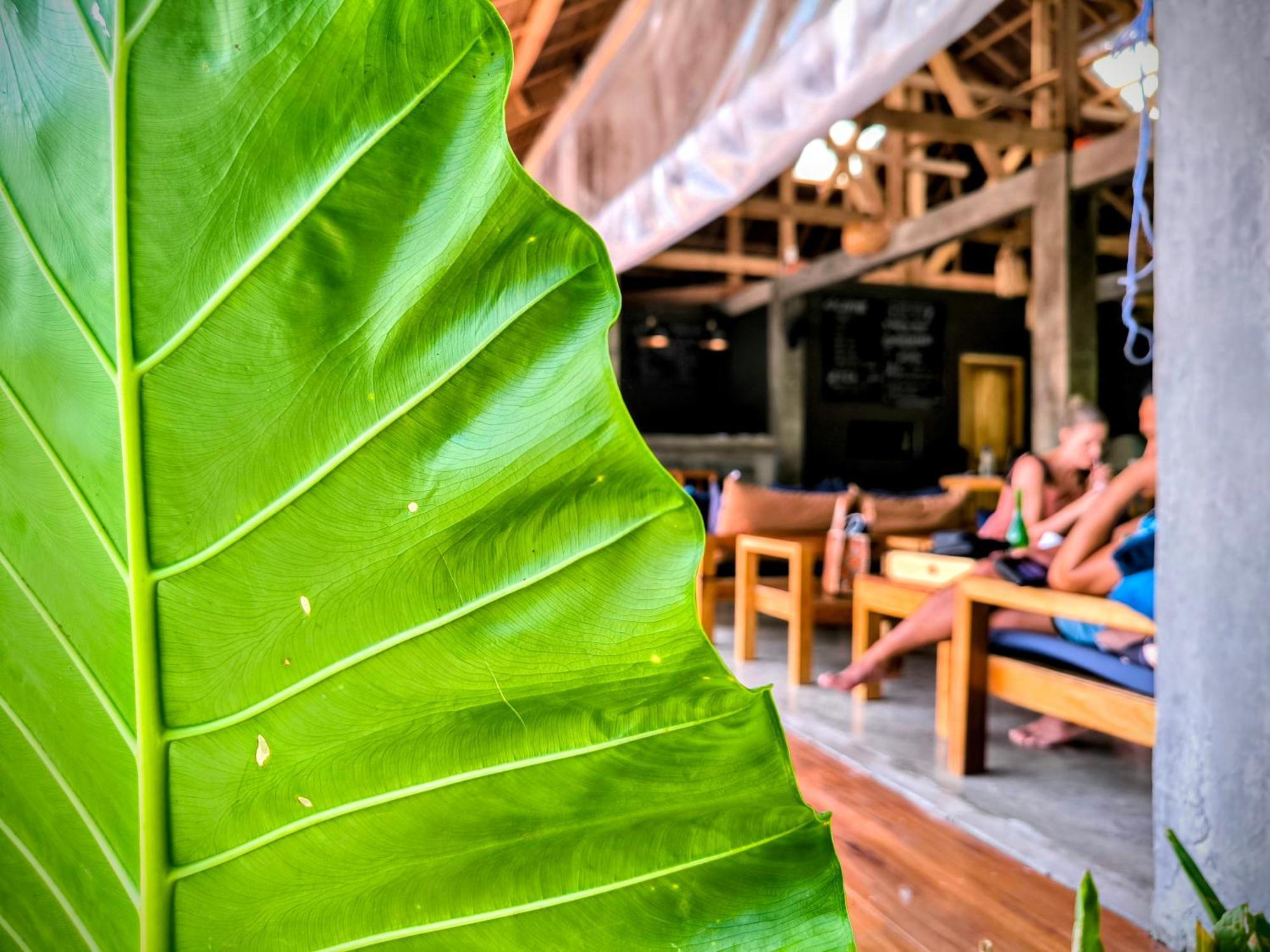 The Ohm Siargao Resort General Luna  Eksteriør billede